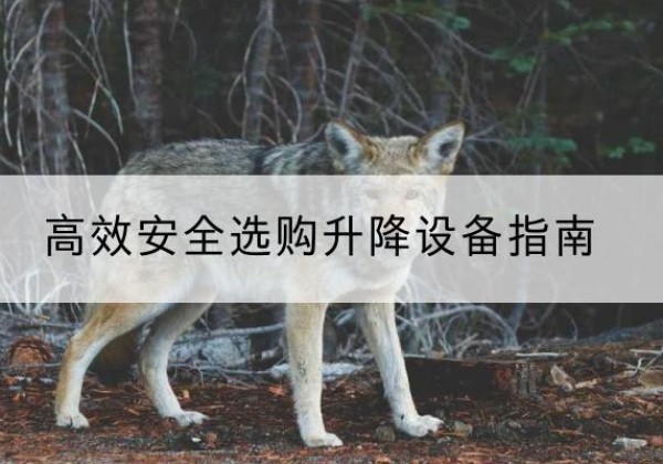 东源升降货梯厂家推荐-*安全选购升降设备指南
