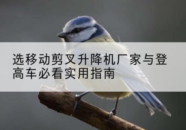 东源电动升降机厂家-选移动剪叉升降机厂家与登高车必看实用指南