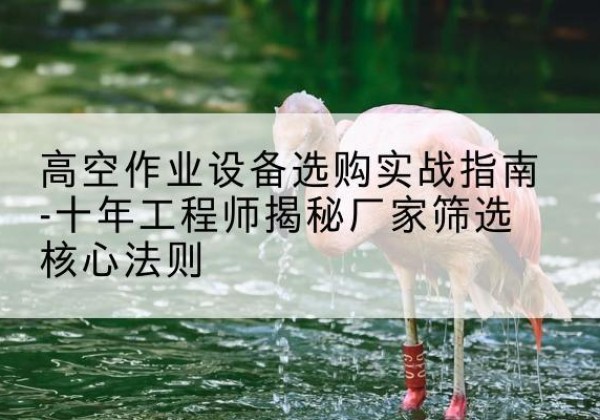 东源剪叉式升降机厂家-高空作业设备选购实战指南-十年工程师揭秘厂家筛选核心法则